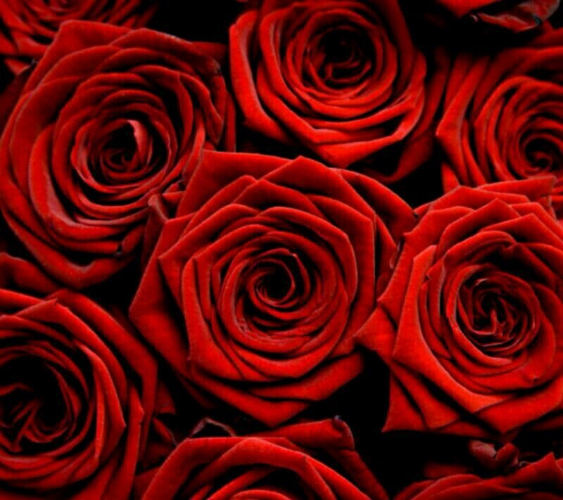 samsungffg12's profile picture. 