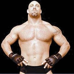 a_ibrahim2009's profile picture. I love John Cena and Daniel Bryan and I hope to become like any one of them