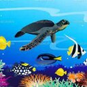 Audrey Hendrix - @alhy6352 - Twitter