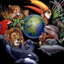 ANIMAL GUARDIAN & NATURE LOVER.. I'm here to protest, to boycott & to fight by lending my voice for those whose goes unheard.. a PROUD VEGAN FOR LIFE