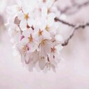 ~° اذكر الله ~° (@00ssaaa) Twitter