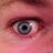 Cassieref's profile image