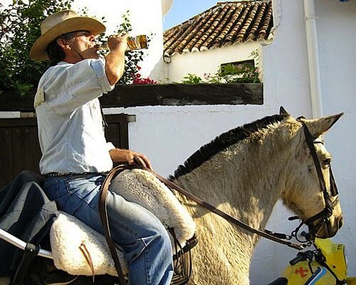 DrunkenEq's profile picture. Area I Eventer. Proud OTTB Mom. 50% of my tweets are the result of alcohol.