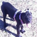 David Pablo - @DavidPablo_07 - Twitter