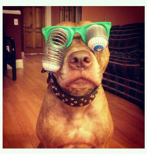 Be cool, be safe, be kind!