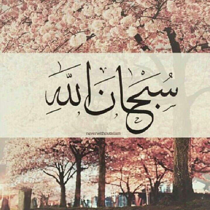 لـا تحسبن الله يغفل ساعة… ولا أن ما تخفيه عنه يغيب