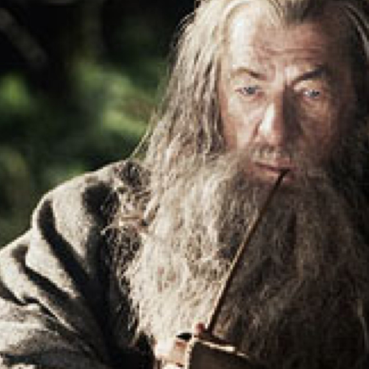 You will have to do without pocket handkerchiefs, and a great many other things, before we reach our journey's end, Bilbo Baggins.