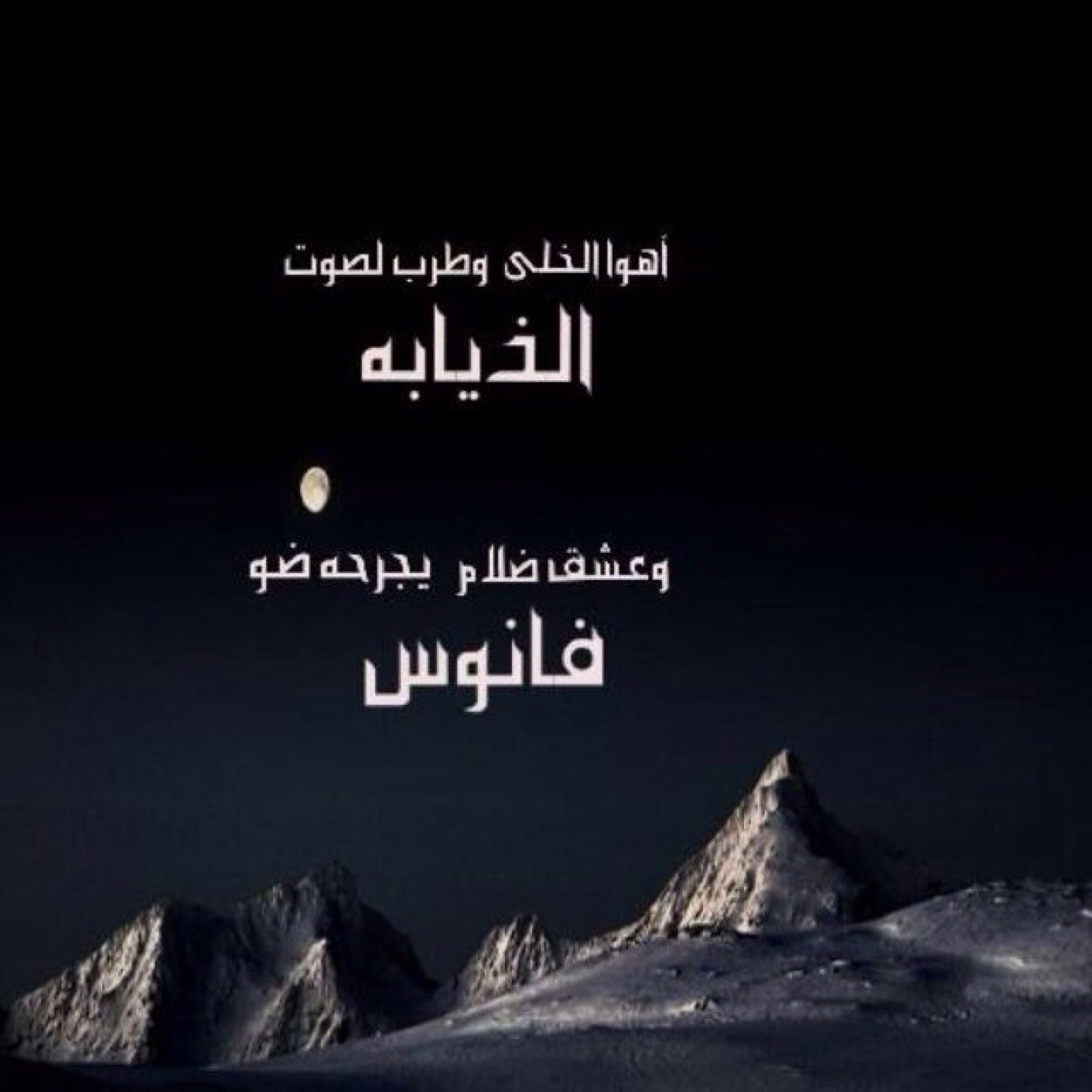 s15704's profile picture. Nitrograph