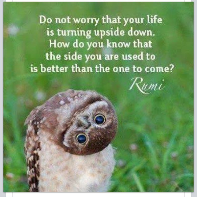 glrech's profile picture. 