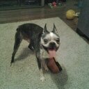 Tyler Meade - @tylertab3 - Twitter