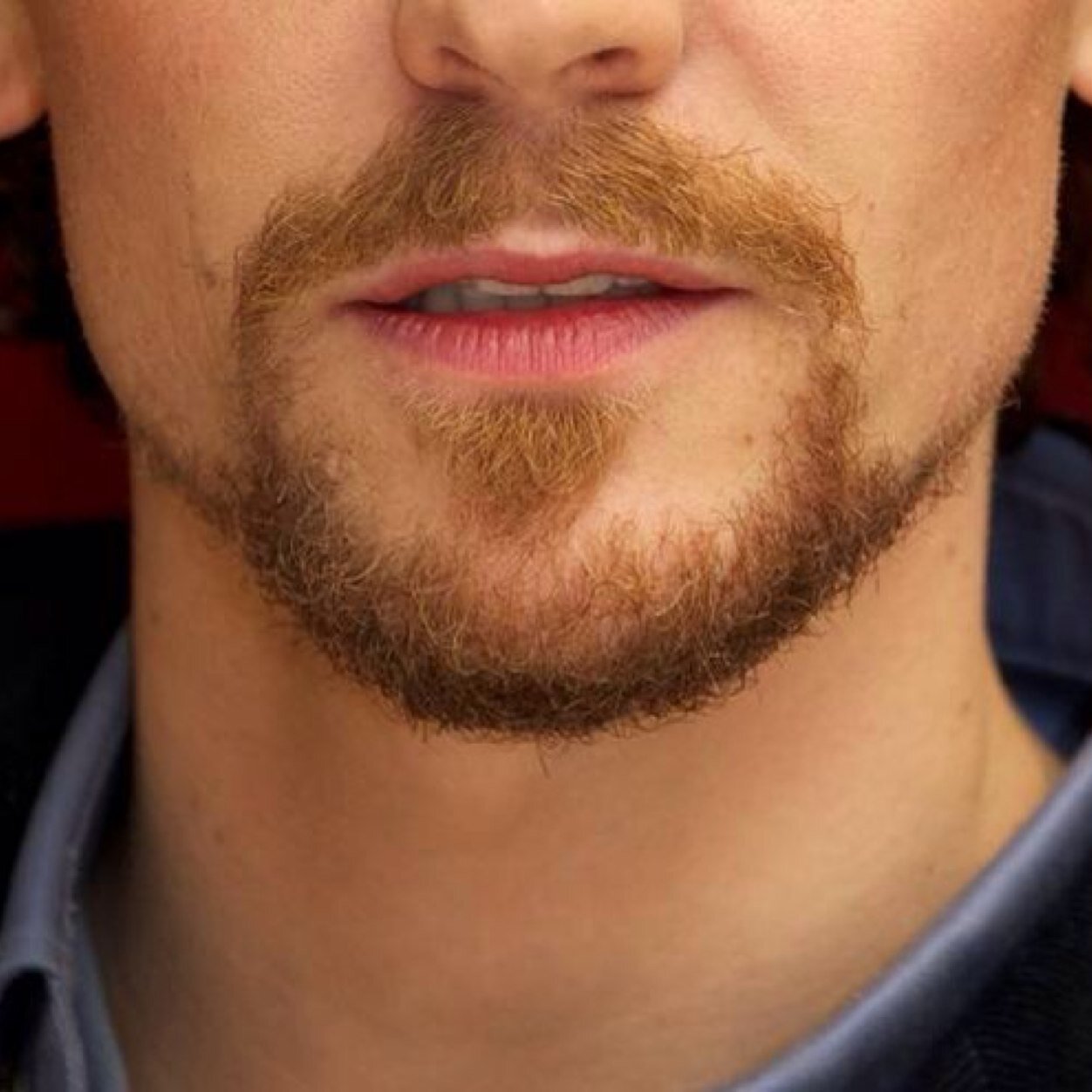 Dedicated to the glory that is Tom Hiddleston's beard. Trimmed and supported by Team TSB