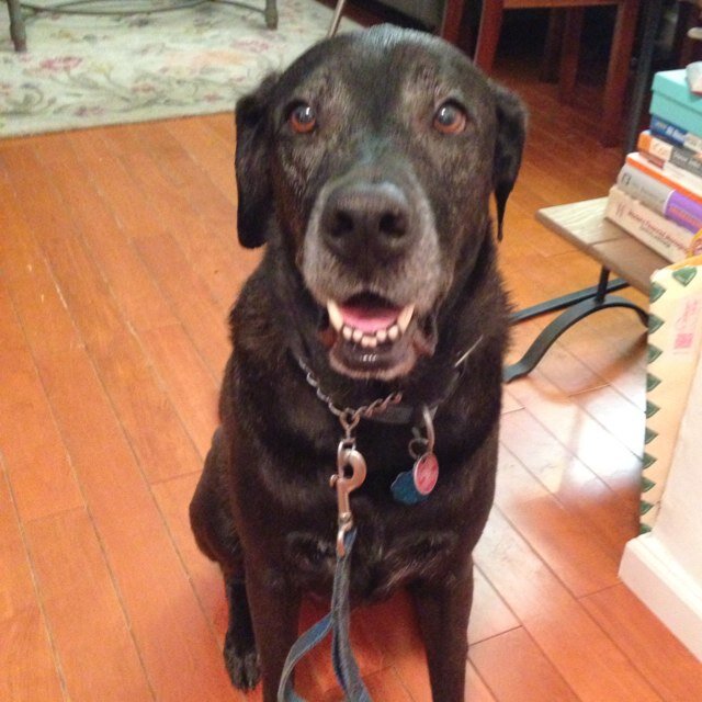 kit822's profile picture. NYCer