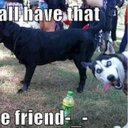 Pete Land - @land_pete - Twitter