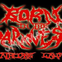 BORN IN THE DARKNESS (@bitd_dc) 's Twitter Profile