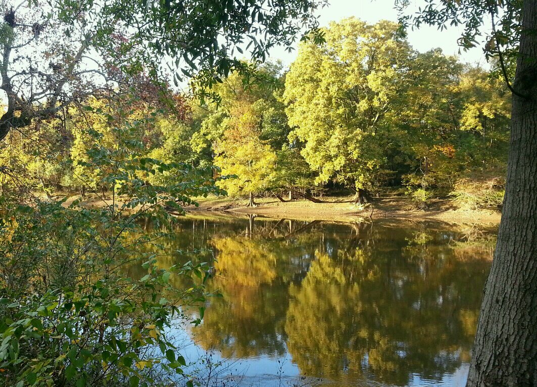 I enjoy reading, metal detecting, genealogy, camping and nature.