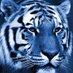 BLUE TIGER (@bluetiger888) Twitter profile photo