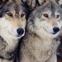 Marisa Pinto - @MarisinhaPinto - Twitter