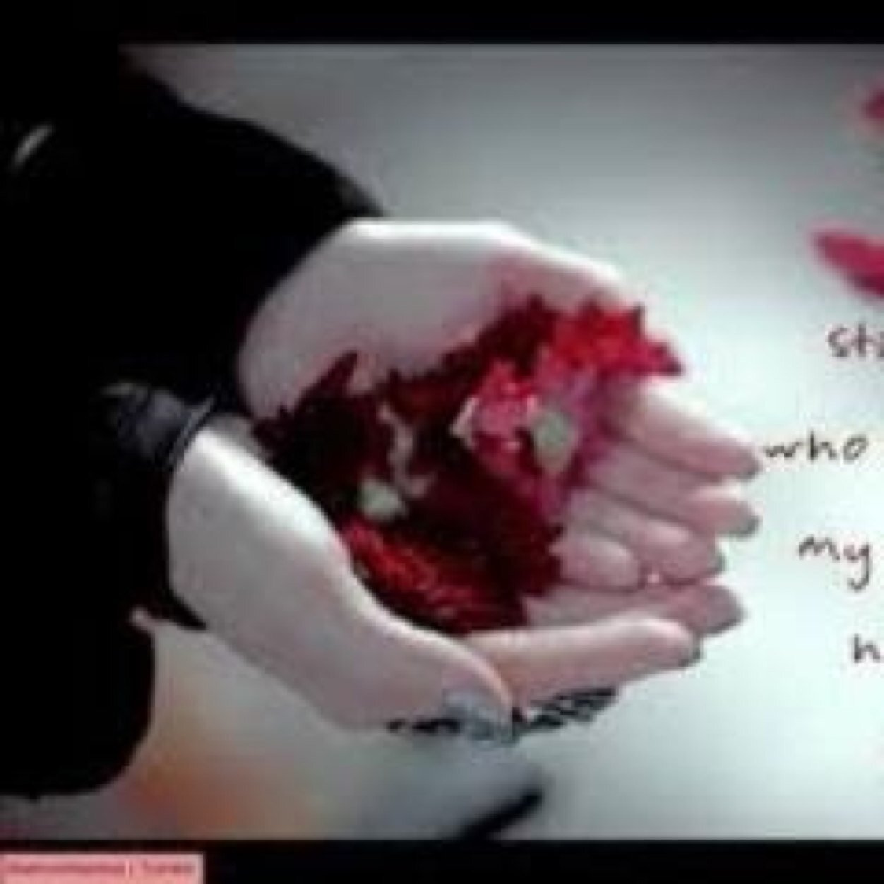 VIP & BLACKJACK forever....