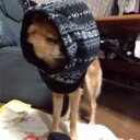 佐藤 智也 (@103055Tomo) Twitter