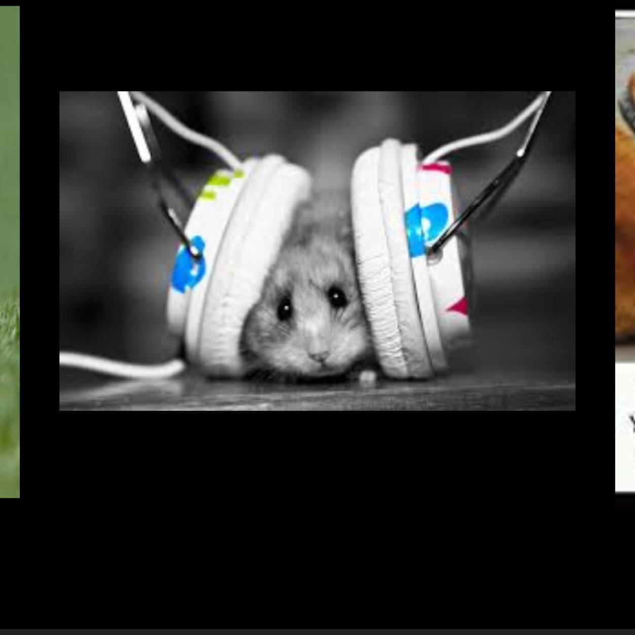 I am some girl on twitter.  Follow me and i follow back.:)