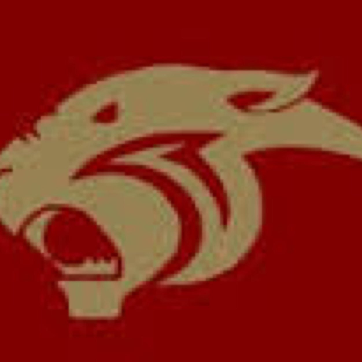 MemoriesPI's profile picture. 