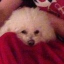 Lois Chambers - @LCCWichita - Twitter