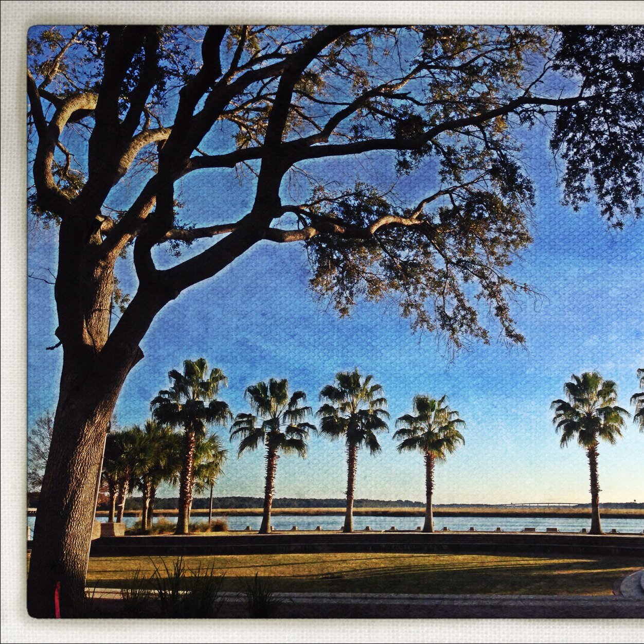 MaryDestiche's profile picture. 