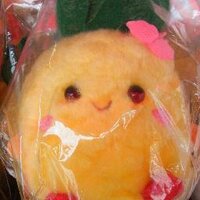 かれん (@stfkaren) Twitter profile photo