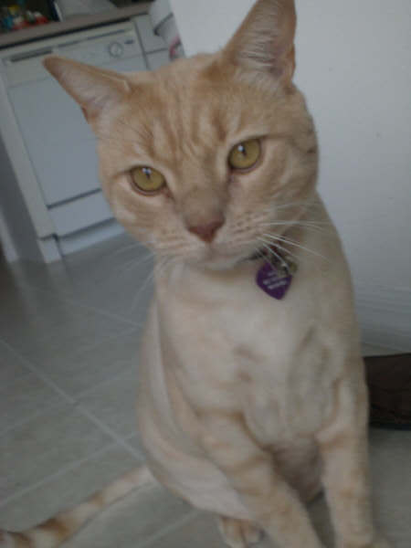 BusinessCredit7's profile picture. It's important to look after the interests of small business.