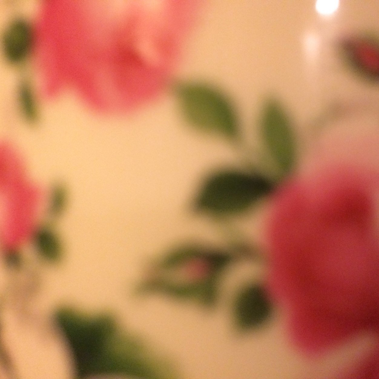 veganlady55's profile picture. 