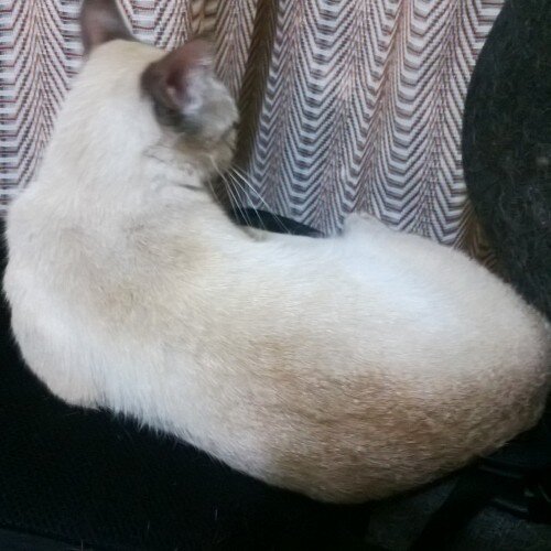 DiegoGa09176869's profile picture. 