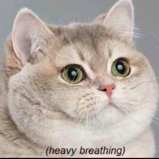 CapnnFizzy's profile picture. NSN OM&M BMTH AA PTV ADTR SWS MP ATL TheBeatles FizzyFamily BroArmy TeeHee 124Crew TWD NJROTC