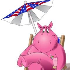 PinkHippoRental's profile picture. Offering luxury vacation villas in Disney, with a female touch. We are a UK company, giving you a true home from home, once in a lifetime, holiday experience.