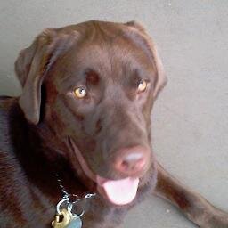 JBraggfla's profile picture. 