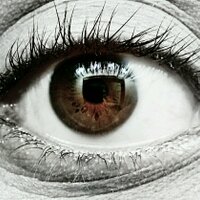 TriStan (@tri5tan_h) 's Twitter Profile