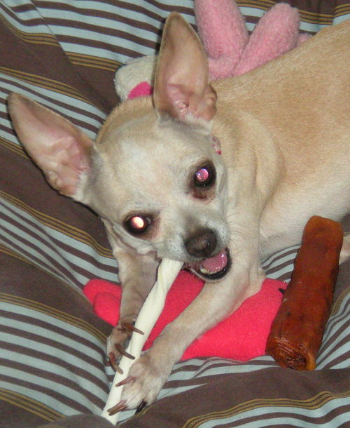 I'll bite your leg off.