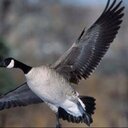 Daniel Schroer - @dan4061 - Twitter