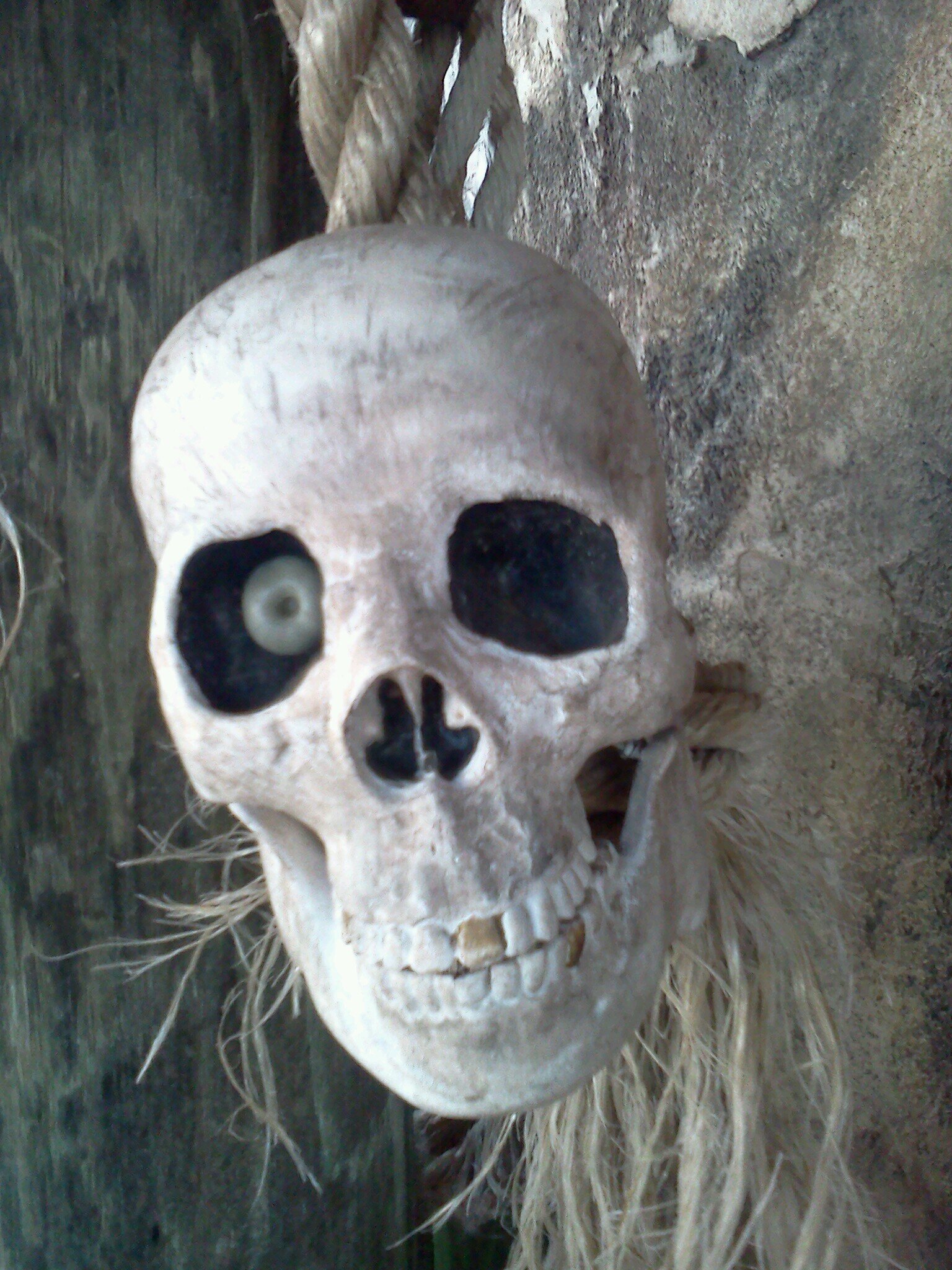 GlennBrooks27's profile picture. l love spending time with my family.