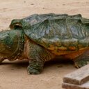 colton david gumm - @coltondavidgumm - Twitter