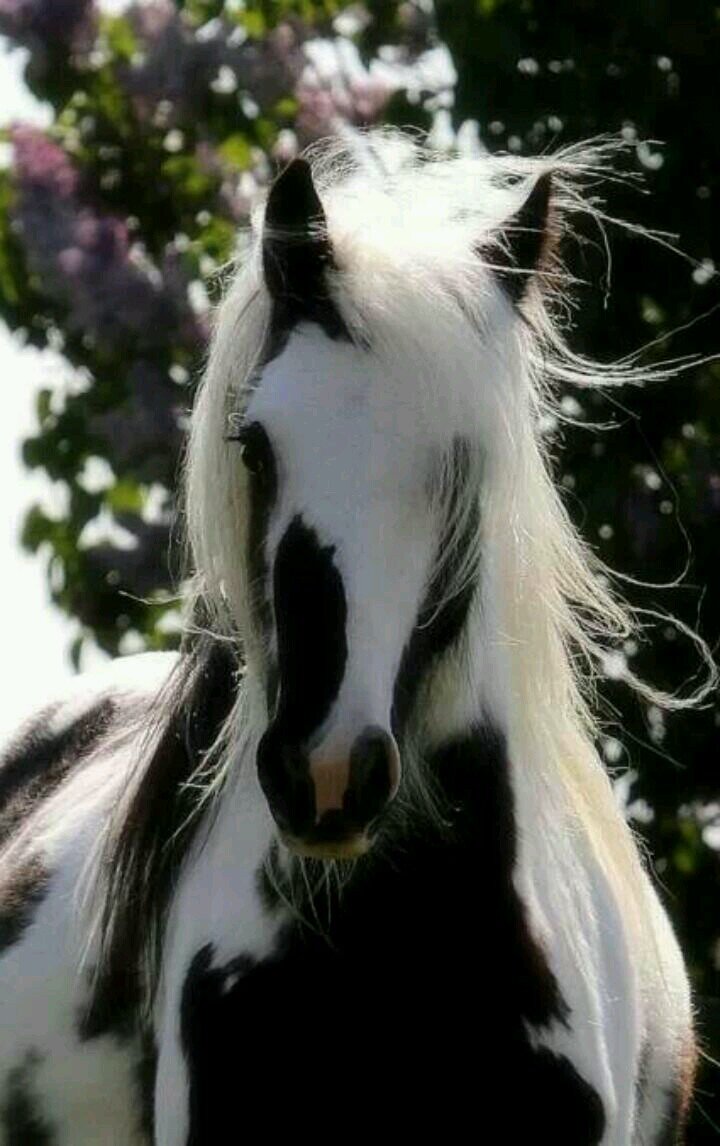 ولا تحسبن الله غافلا عما يعمل الظالمون. مهندس ميكانيكا. أحب الصالحين ولست منهم لعلى ان انال بهم شفاعة واكره من تجارته المعاصى وان كنا سواء فى البضاعة