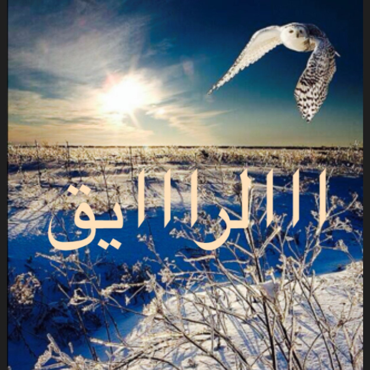 قبل آمس انا ويآك
والثالث الليل

واليوم انا والليل
بس آنت وينك ؟
       
 (الراااايق)