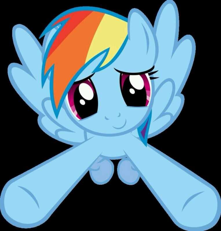 Hi Im Rainbow Dash Married to @_fluttershy_777 Daughter @shy_dash i love them both
