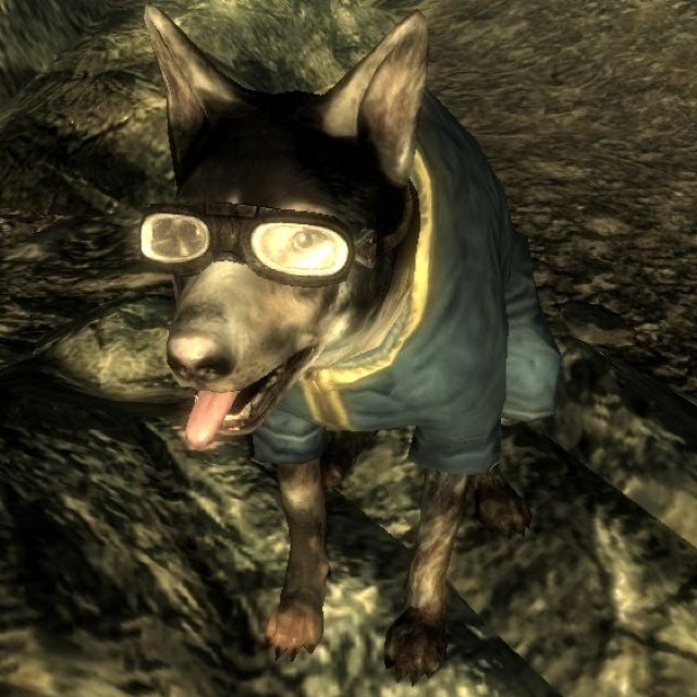 bark bark!