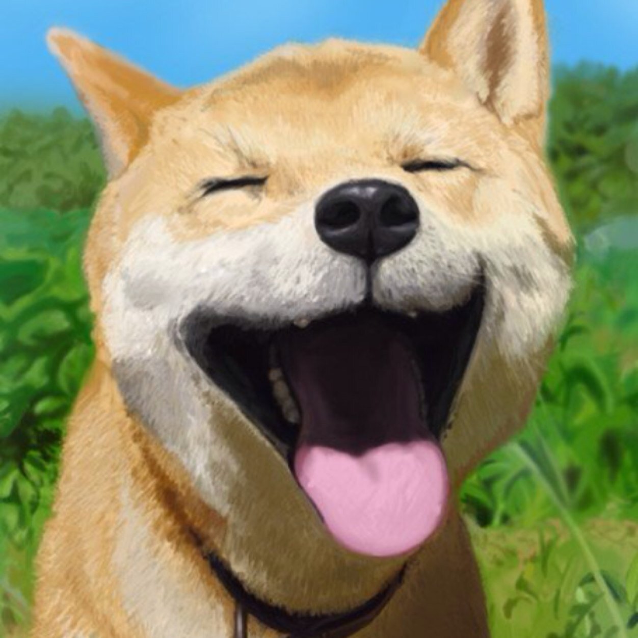 思わずキュンとする わんこ画像 Kawaii Wan Wan Twitter 思わずキュンとする わんこ画像 Kawaii Wan Wan Twitter