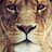 Fernando__TR's profile image