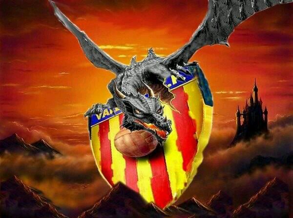 Siguiendo al valencia desde el dia que naci, se podria decir que nací en Mestalla #AmuntValencia