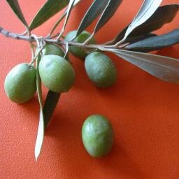 bijzonderspaans's profile picture. Bijzonder Spaans een kookblog met Spanje in de hoofdrol.