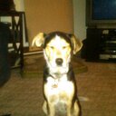 Mary Lou Banks - @MaryLou305 - Twitter