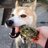 0510Asato's profile image