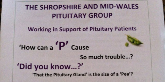 The Shropshire and Mid-Wales Pituitary Group is a Support Group for those suffering a Pituitary Condition and Raises Awareness of Pituitary Conditions.